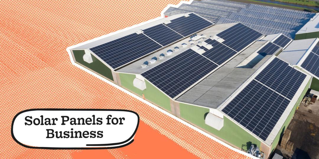Solar for Business: Costs, Benefits & How to Get Started in 2025