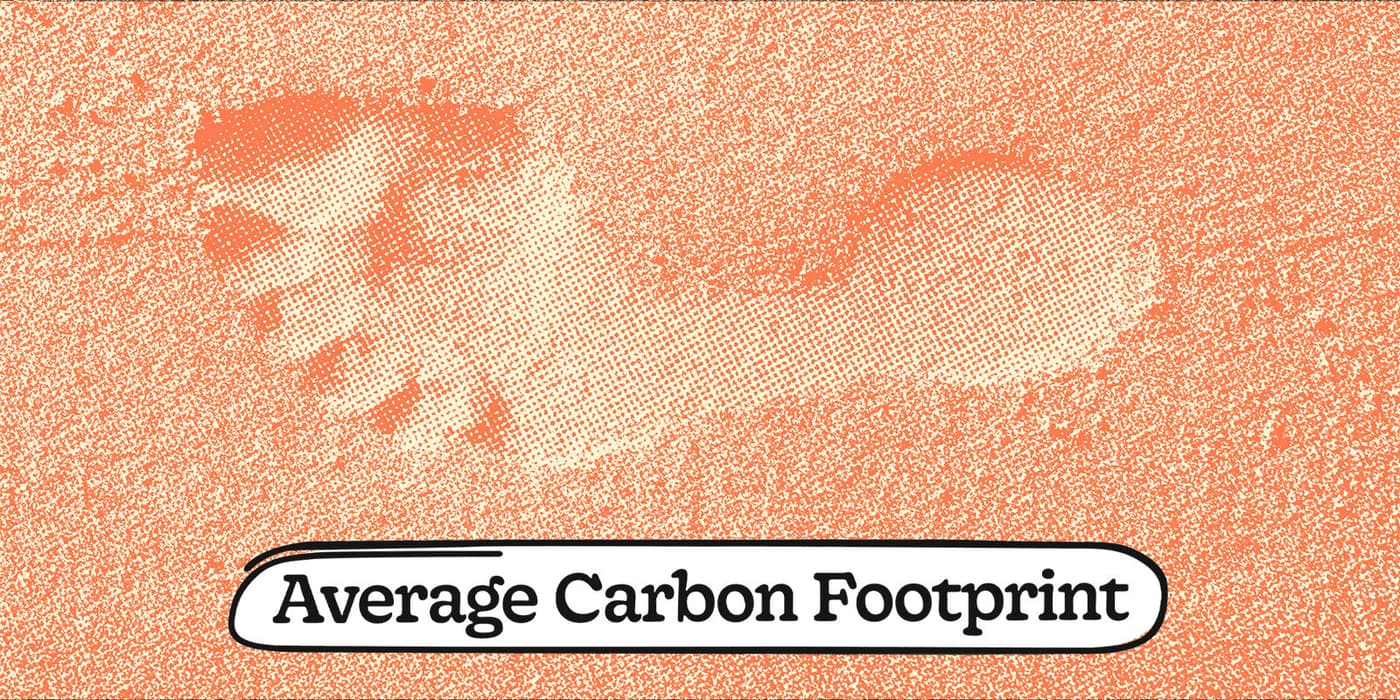 What Is a Carbon Footprint? Average UK Footprint Explained